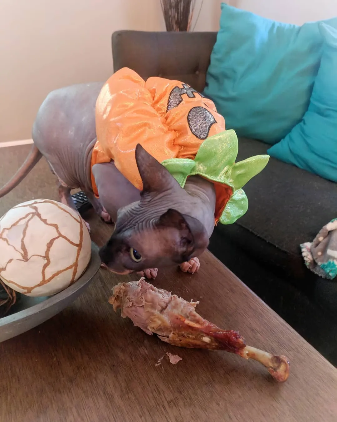 Tattoo by TJ Cornelius at Fallen Raven Tattoo Studio