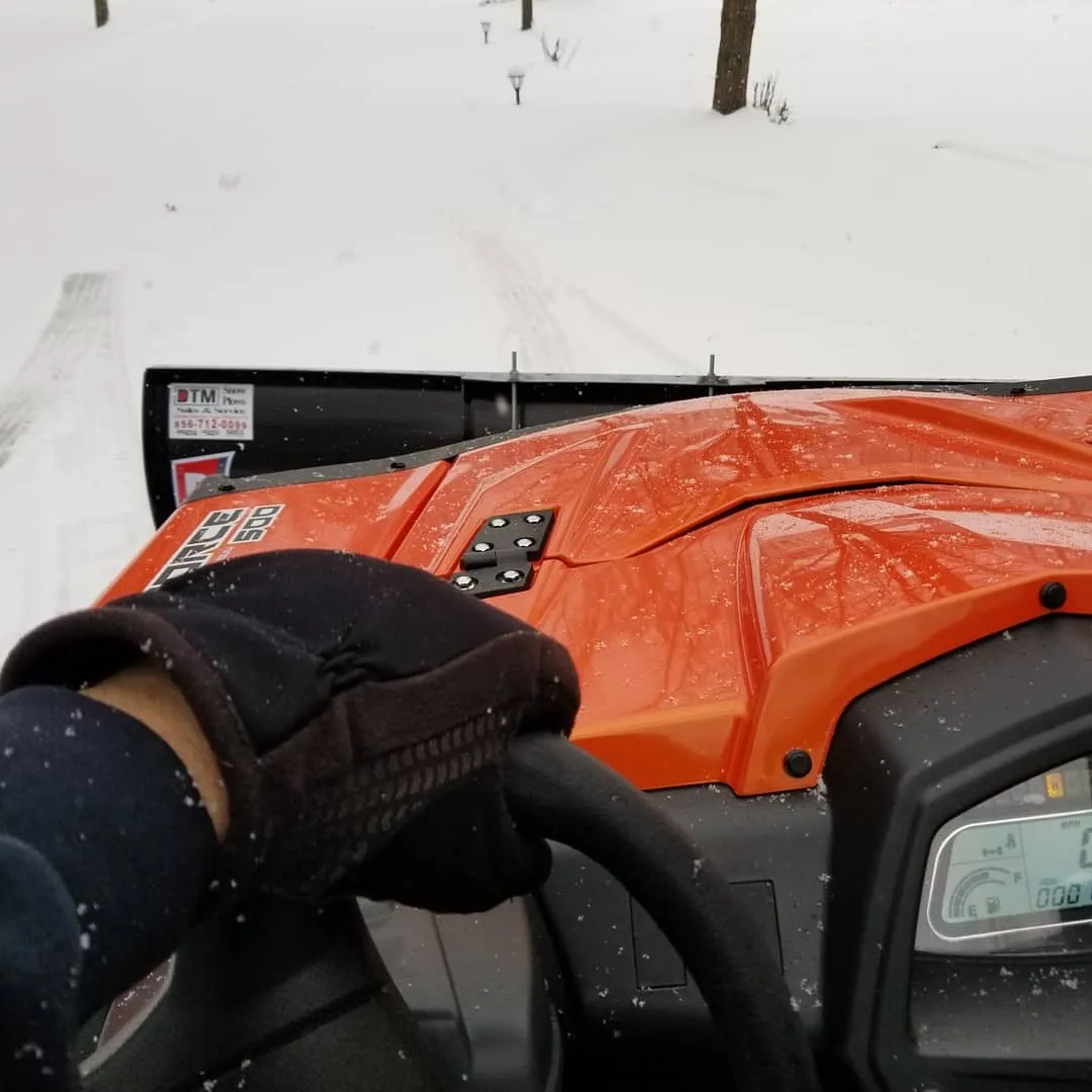 Tattoo by Pete Delia at Fallen Raven Tattoo Studio