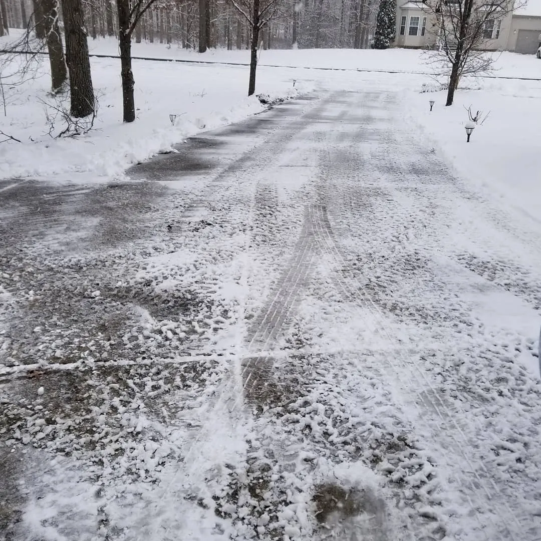 Tattoo by Pete Delia at Fallen Raven Tattoo Studio