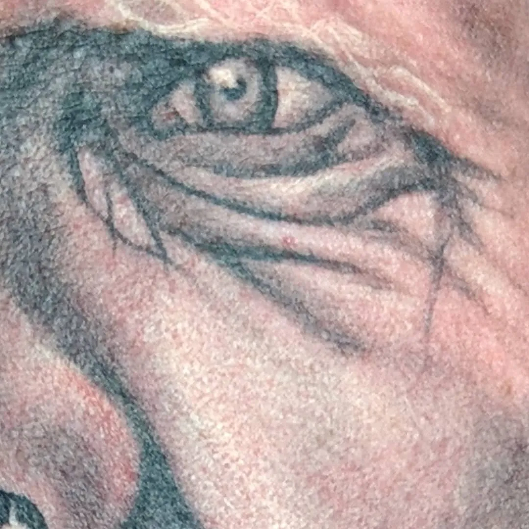 Tattoo by TJ Cornelius at Fallen Raven Tattoo Studio