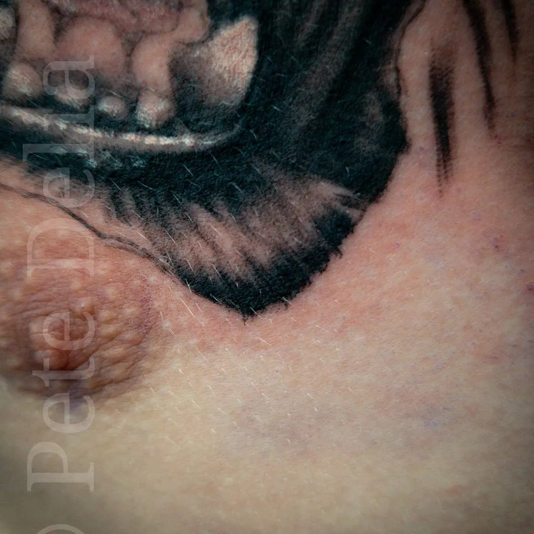 Tattoo by Pete Delia at Fallen Raven Tattoo Studio