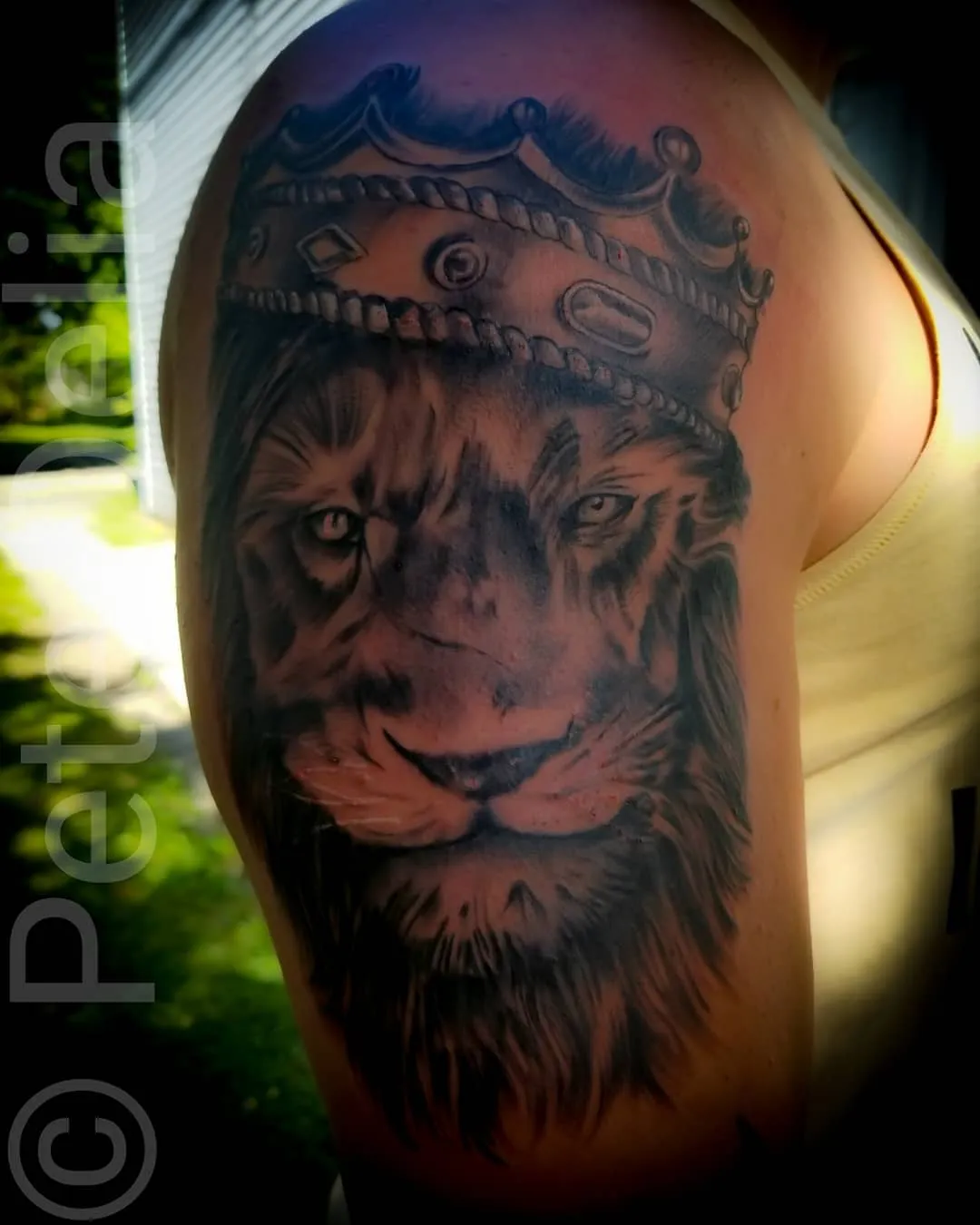 Tattoo by Pete Delia at Fallen Raven Tattoo Studio