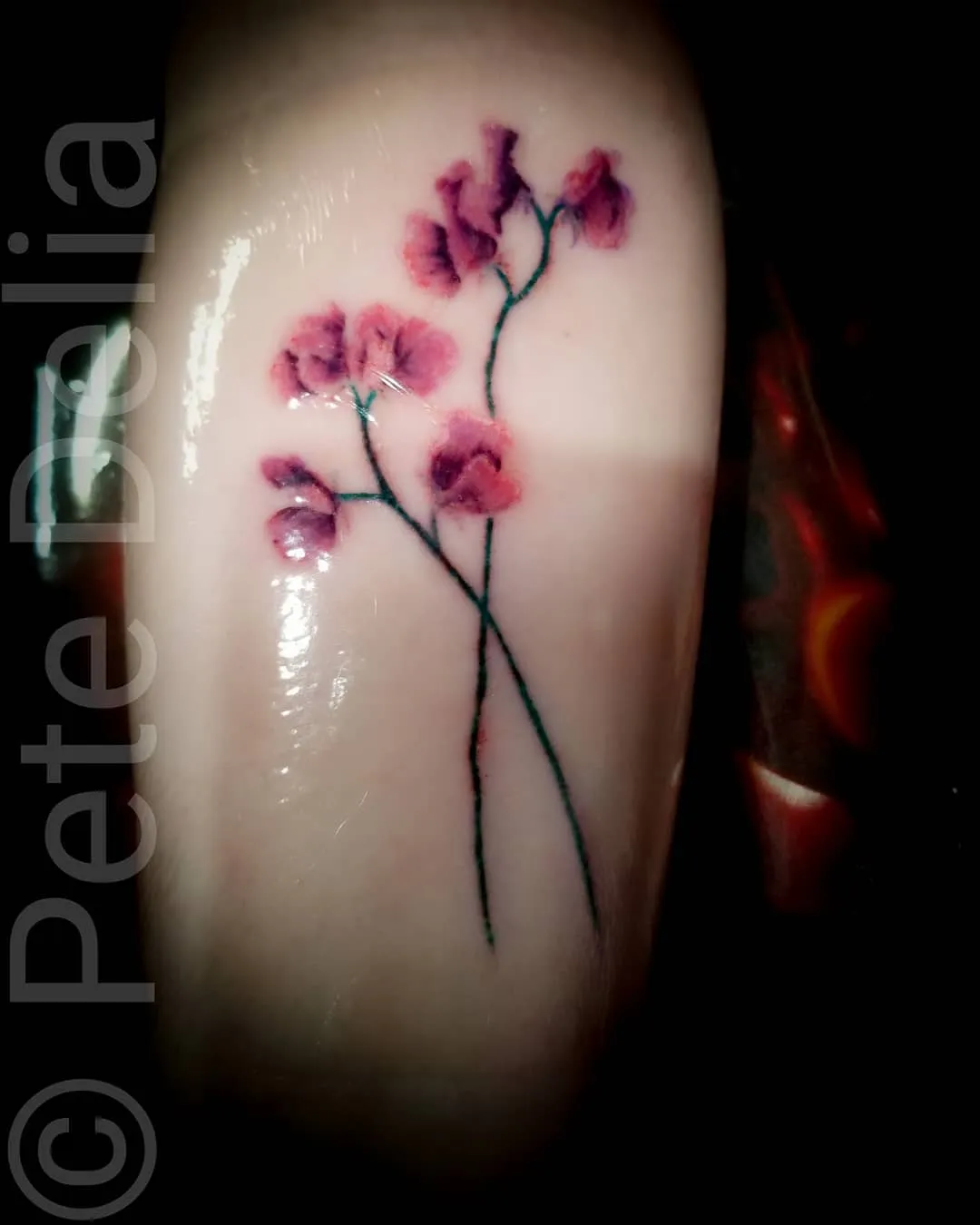 Tattoo by Pete Delia at Fallen Raven Tattoo Studio