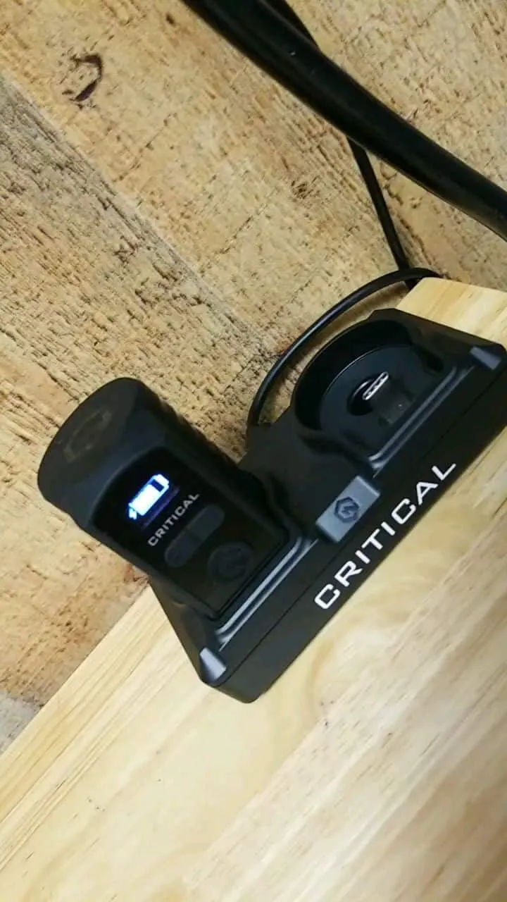 Tattoo by Pete Delia at Fallen Raven Tattoo Studio