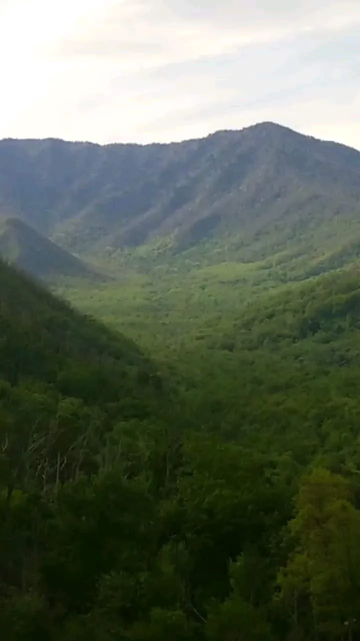 Tattoo by Pete Delia at Fallen Raven Tattoo Studio