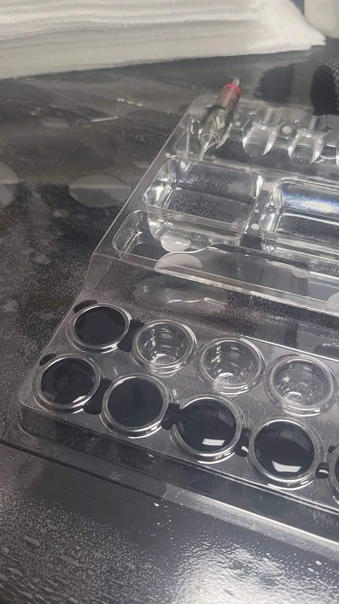 Tattoo by Pete Delia at Fallen Raven Tattoo Studio