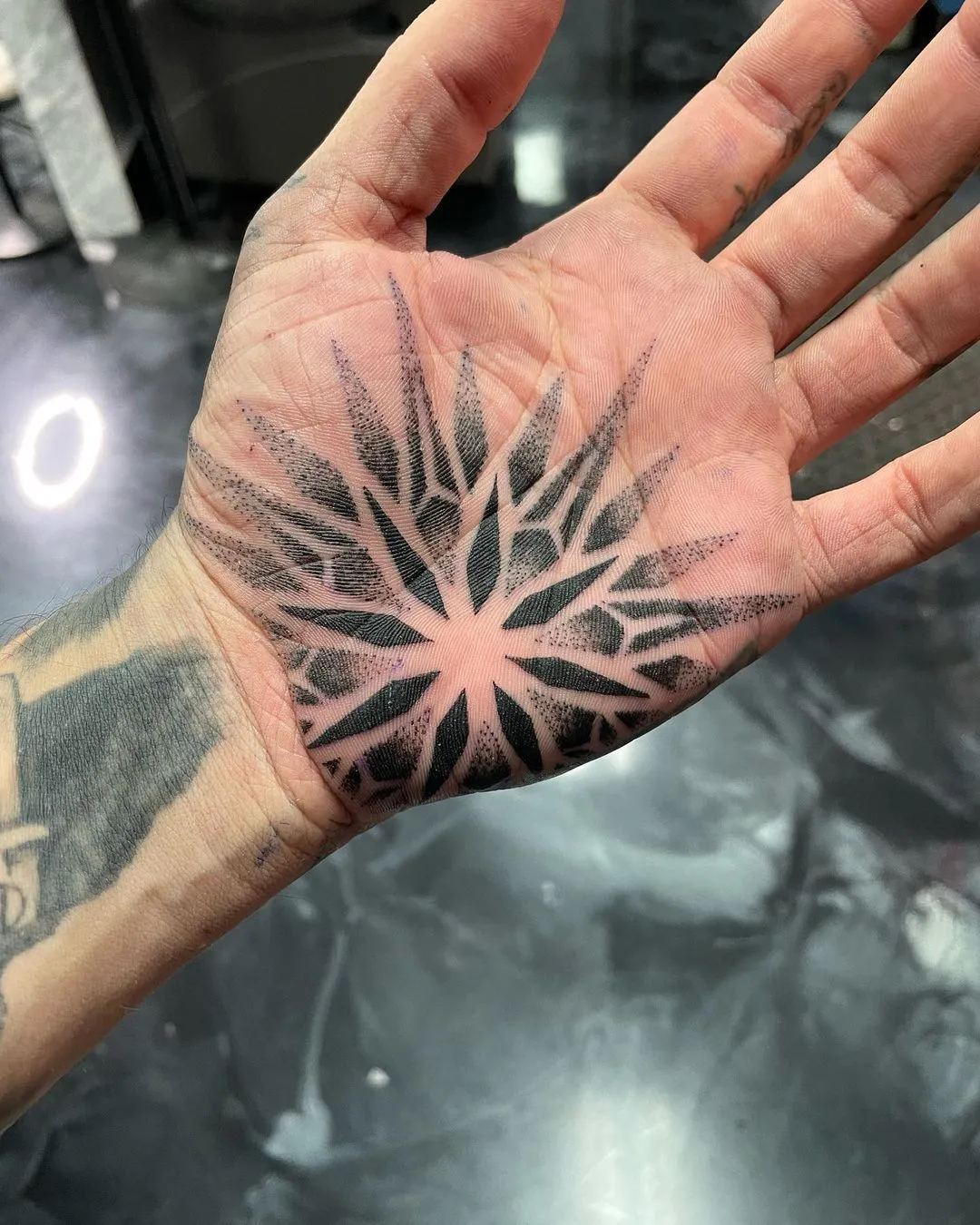 Tattoo by TJ Cornelius at Fallen Raven Tattoo Studio