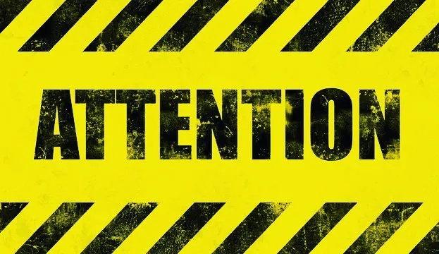 Tattoo by Pete Delia at Fallen Raven Tattoo Studio