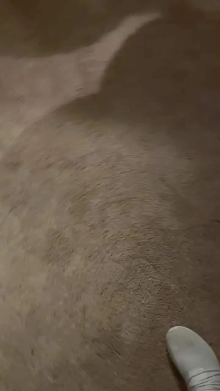 Tattoo by TJ Cornelius at Fallen Raven Tattoo Studio