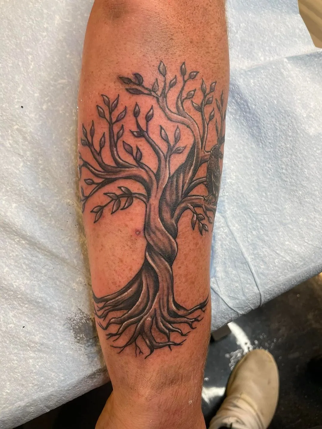 Tattoo by TJ Cornelius at Fallen Raven Tattoo Studio