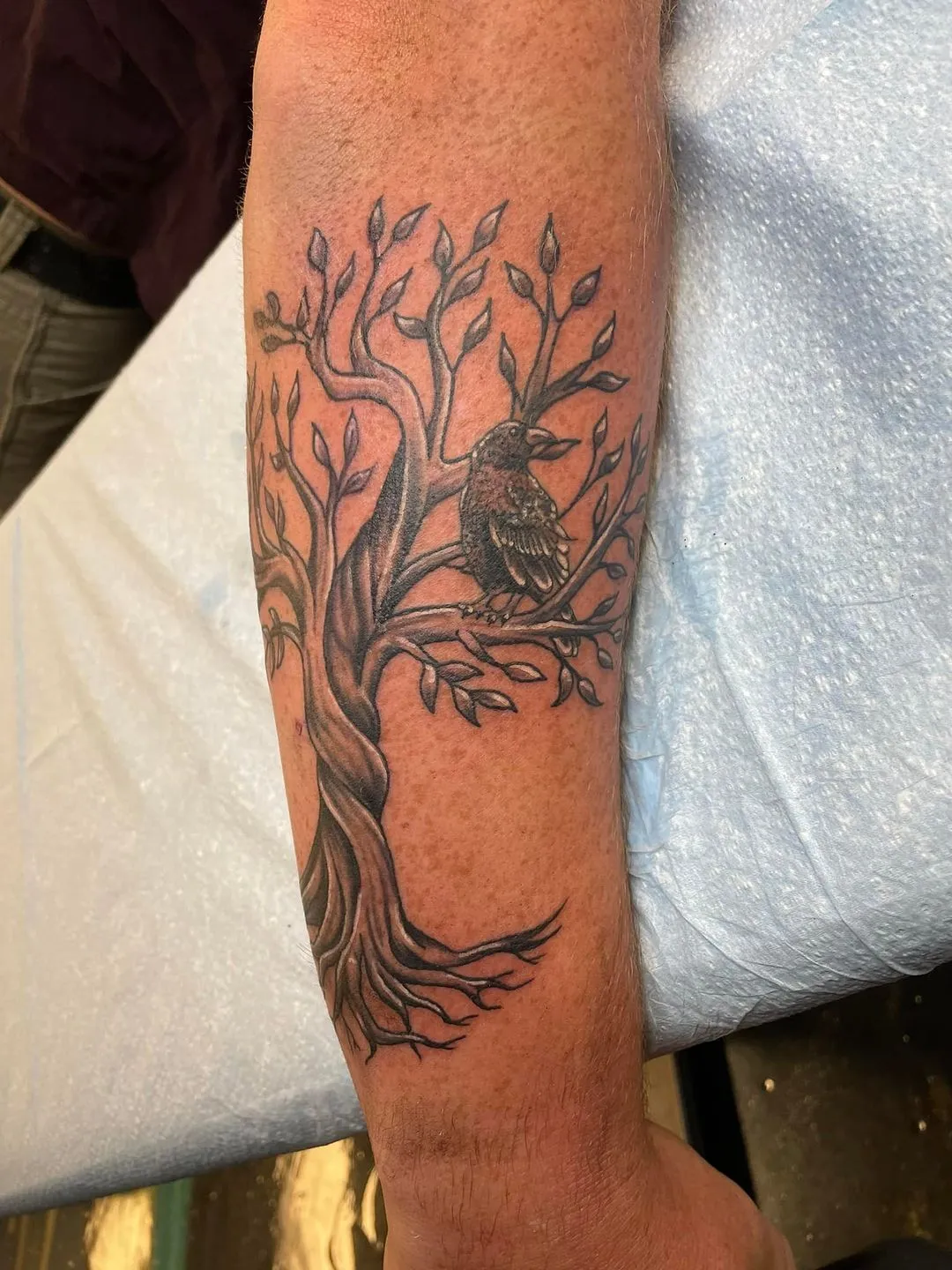 Tattoo by TJ Cornelius at Fallen Raven Tattoo Studio
