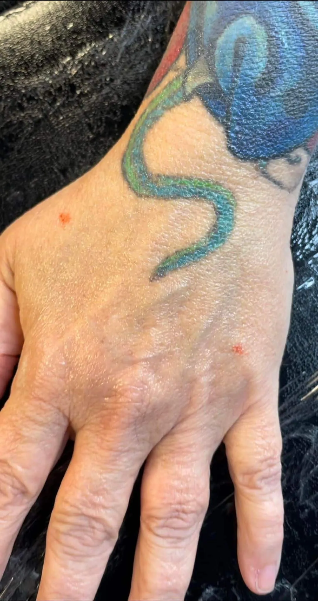 Tattoo by TJ Cornelius at Fallen Raven Tattoo Studio