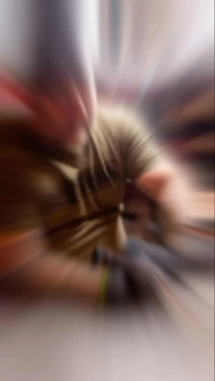 Tattoo by Pete Delia at Fallen Raven Tattoo Studio