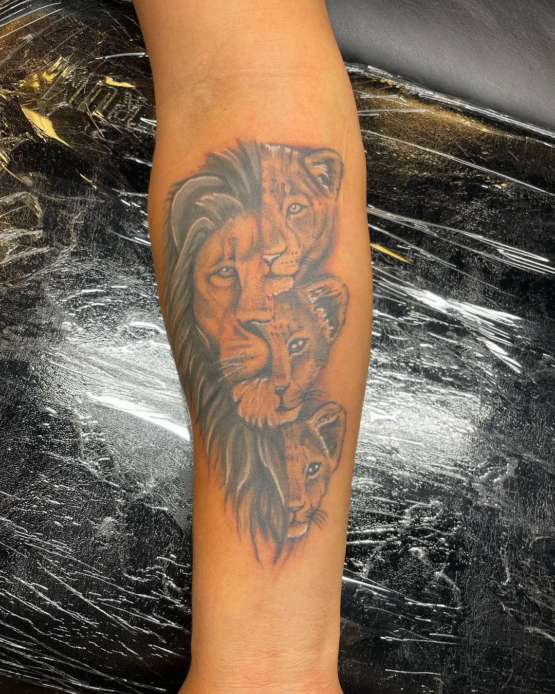 Tattoo by TJ Cornelius at Fallen Raven Tattoo Studio