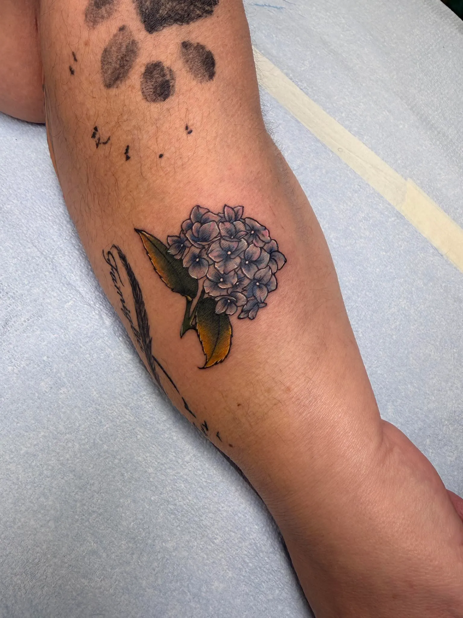 Tattoo by Olivia Hart at Fallen Raven Tattoo Studio